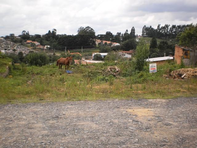 TERRENO PARA VENDA